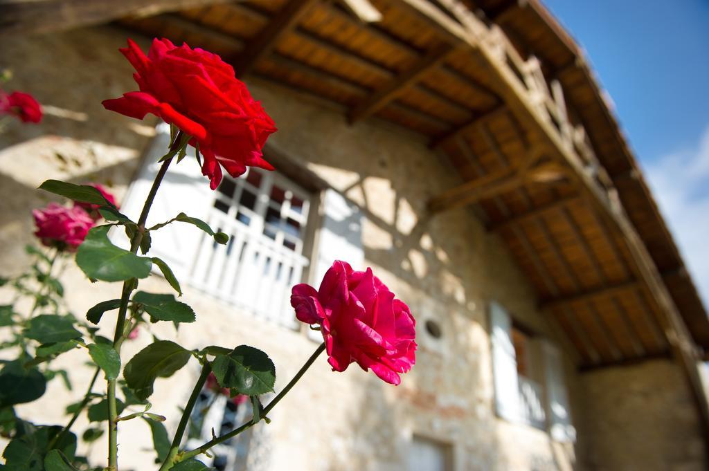Le Poutic Gite Et Maison D'Hotes Creon-d'Armagnac エクステリア 写真